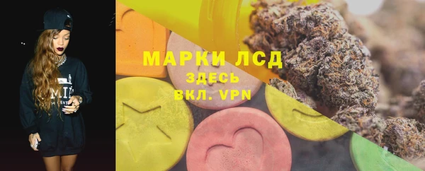 стафф Новодвинск