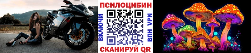 Псилоцибиновые грибы Cubensis  цены   Темников 