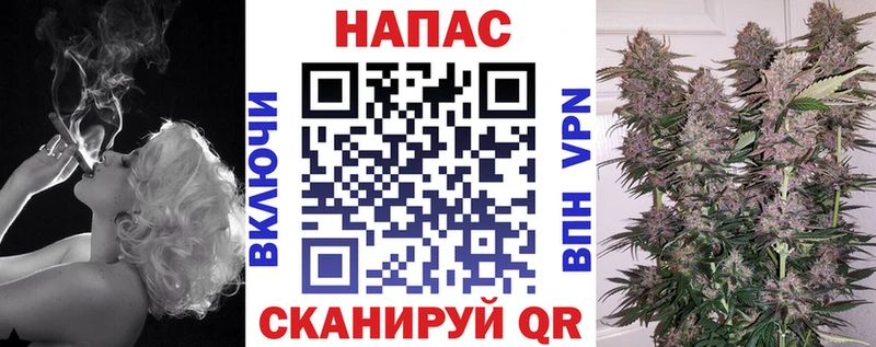 МАРИХУАНА сатива Темников